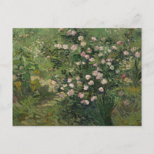 Cartão Postal Rosebush no Blossom, Van Gogh BFine Art