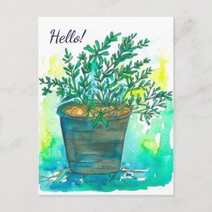 Cartão Postal Rosemary Herb Watercolor Hello