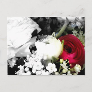 Cartão Postal Rosenweissundrot