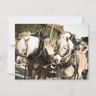 CARTÃO POSTAL RÖSSER BEI HAAGER HERBSTFEST EINZUG