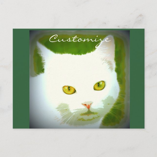 Cartão Postal Rosto de gato branco (Frente)