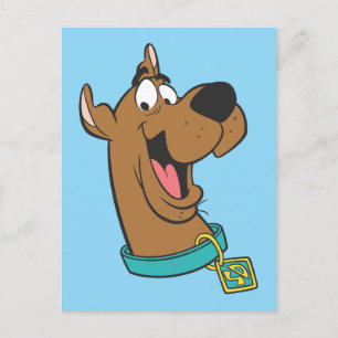 Cartão Postal Rosto Feliz Scooby-Doo