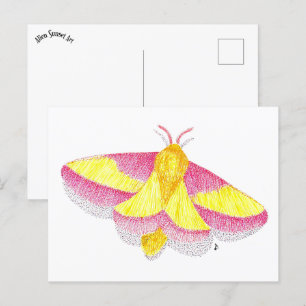 Cartão Postal Rosy Maple Moth