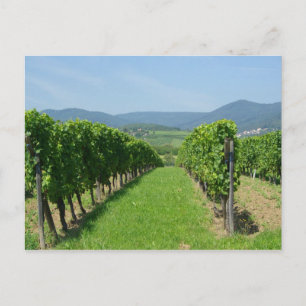 Cartão Postal Rota dos Vinhos da Alsácia