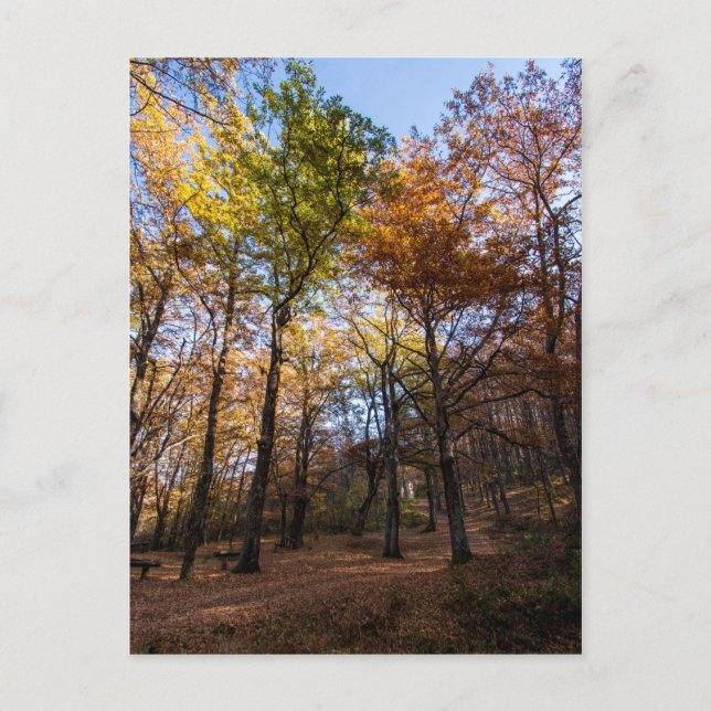 Cartão Postal Rotino, Macedônia (Frente)