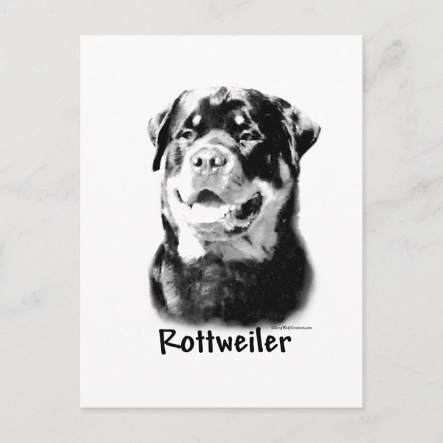 Cartão Postal Rottweiler (Frente)