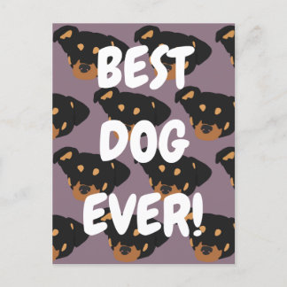 Cartão Postal Rottweiler 