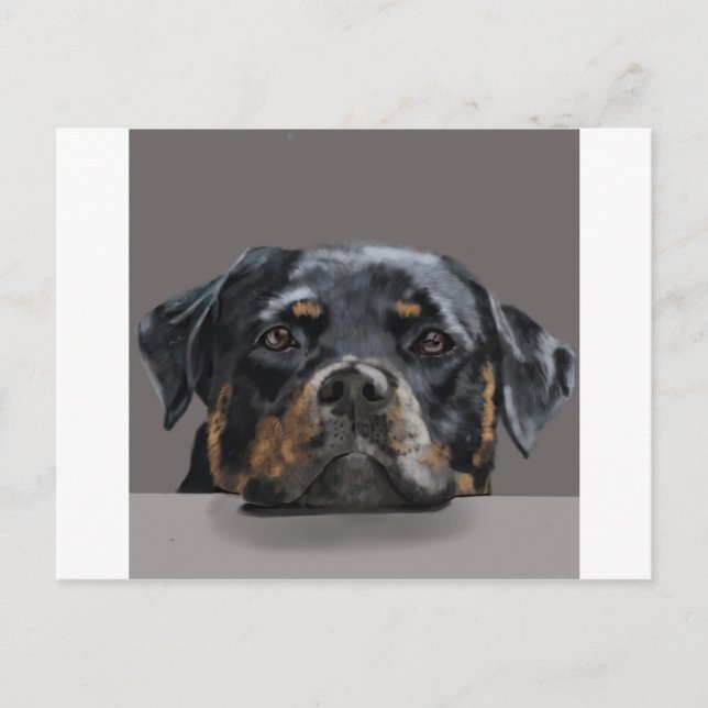 Cartão Postal Rottweiler (Frente)