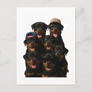 Cartão Postal Rottweiler