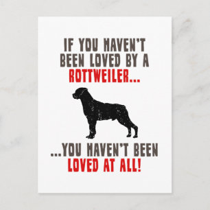 Cartão Postal Rottweiler