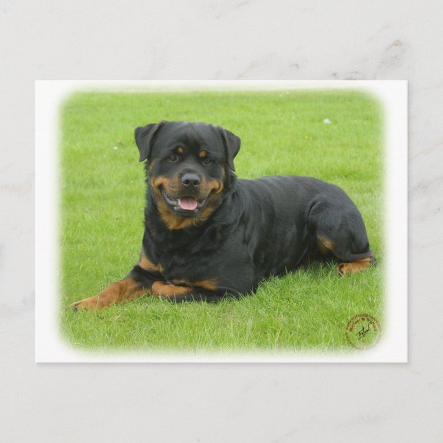 Cartão Postal Rottweiler (Frente)