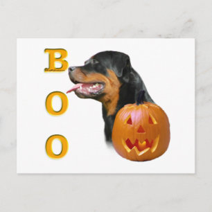 Cartão Postal Rottweiler Boo