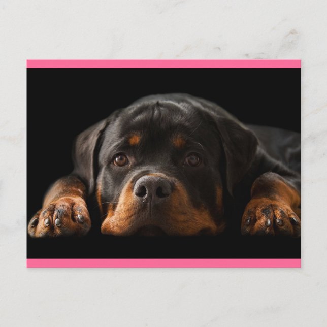 Cartão Postal Rottweiler Cachorro Cachorro Saudação Cartão-posta (Frente)