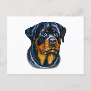 Cartão Postal Rottweiler de Aquarela