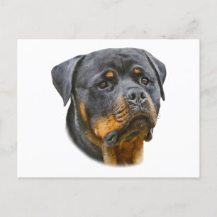 Cartão Postal Rottweiler de Aquarela