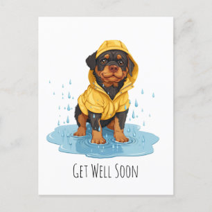 Cartão Postal Rottweiler de cachorro se recuperando logo usando