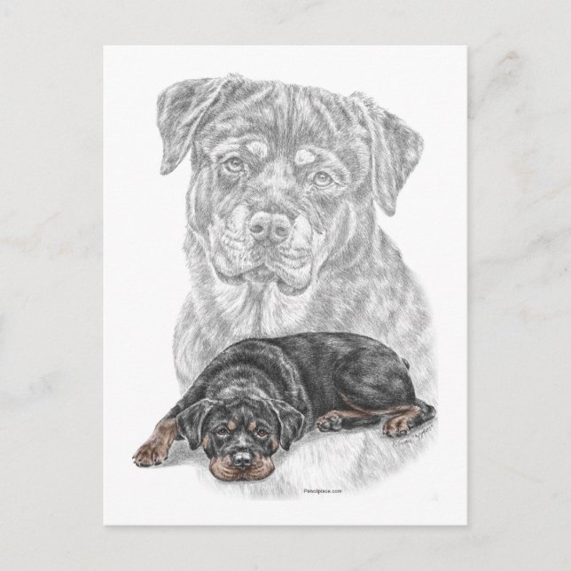 Cartão Postal Rottweiler Dog Art (Frente)