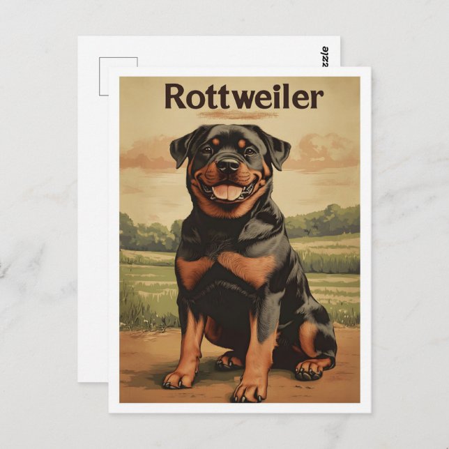 Cartão Postal Rottweiler Dog Vintage Art (Frente/Verso)