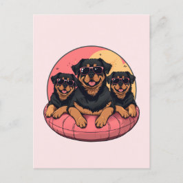 Cartão Postal Rottweiler Dogs Summer Piscinas Floties
