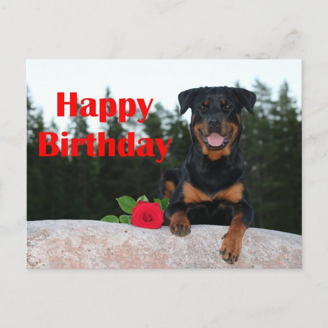 Cartão Postal rottweiler feliz aniversário (Frente)