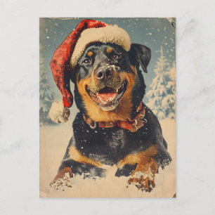 Cartão Postal Rottweiler Natal