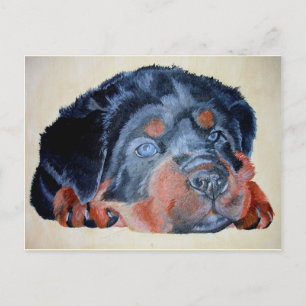 Cartão Postal Rottweiler Puppy Retrato Artístico Pet