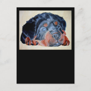 Cartão Postal Rottweiler Puppy Retrato Artístico Pet