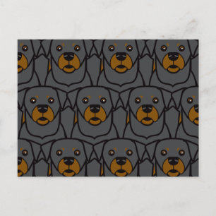 Cartão Postal Rottweilers