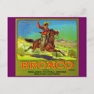 Cartão Postal Rótulo da caixa de fruta do Bronco 1920