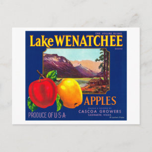 Cartão Postal Rótulo da Maçã do Lago Wenatchee (azul) - Cashm