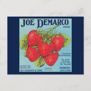 Cartão Postal Rótulo de Caixa de Morango da Louisiana