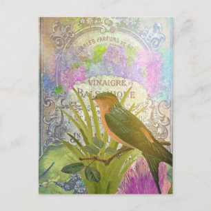 Cartão Postal Rótulo de Perfume de Colagem de Ave Francês Vint