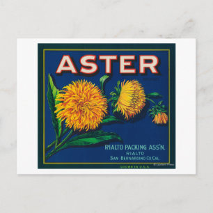 Cartão Postal Rótulo de Taxa de Citros de Marca Aster