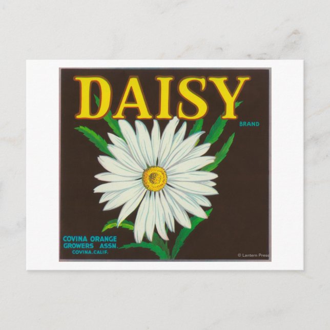 Cartão Postal Rótulo de Taxa de Citros de Marca Daisy (Frente)