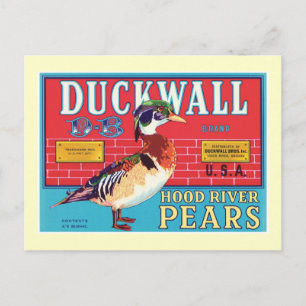 Cartão Postal Rótulo do Produto de Comida de Peras de Vintagem