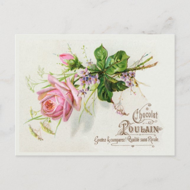 Cartão Postal Rótulo Francês Vintage (Frente)