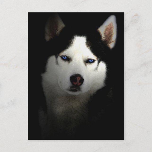 Cartão Postal Rouco Sibirien (Frente)