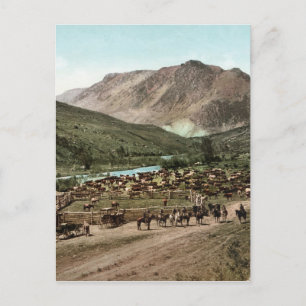 Cartão Postal Round Up (Colorado, 1898)