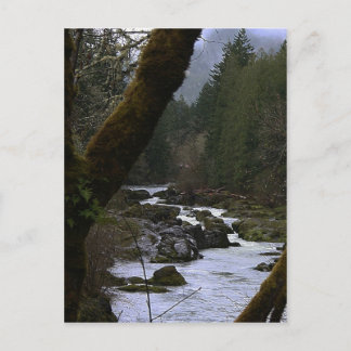 Cartão Postal Row River Rapids