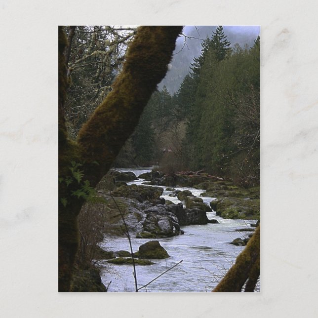 Cartão Postal Row River Rapids (Frente)