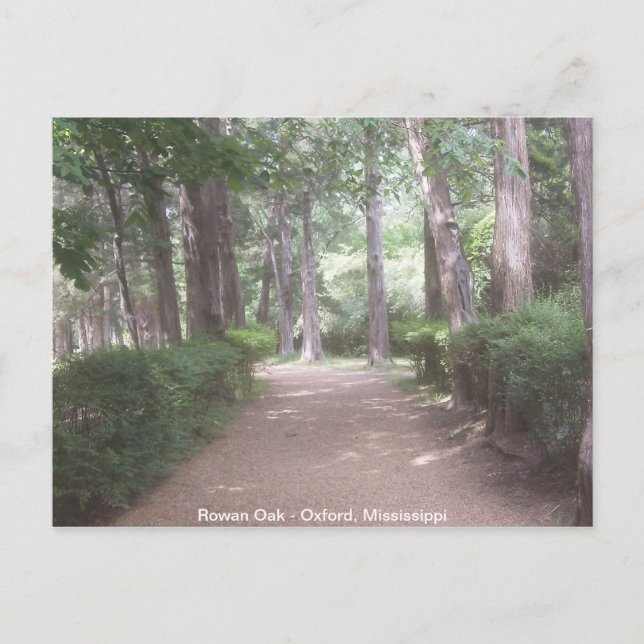 Cartão Postal Rowan Oak (Frente)