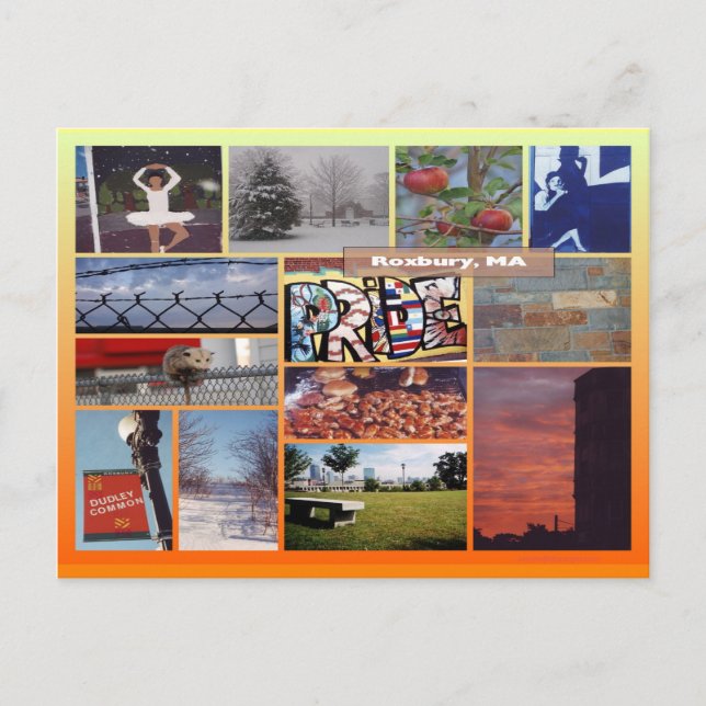 Cartão Postal Roxbury, Massachusetts Photo Collage 9958 (Frente)