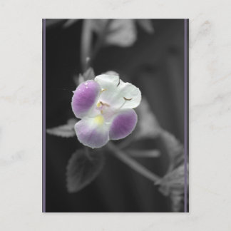 Cartão Postal Roxo em Preto