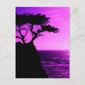 Cartão Postal Roxo Sunset Beach Tree Ocean Peace Destinage