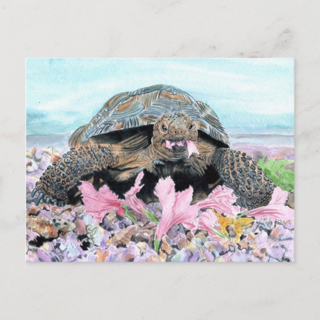 Cartão Postal Roxy the Turtle Postcard (Frente)