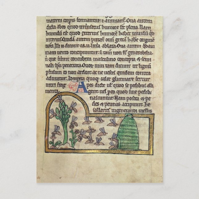 Cartão Postal Roy Page do texto com ilustração de (Frente)