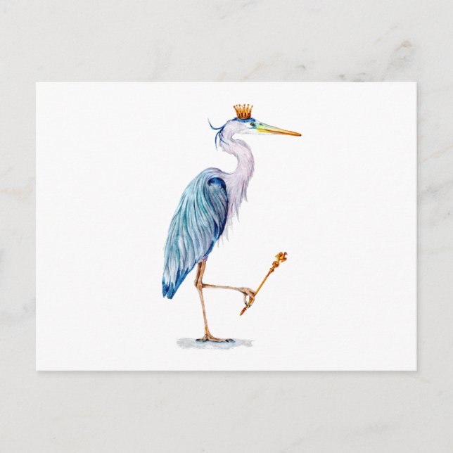 Cartão Postal Royal Blue Heron (Frente)