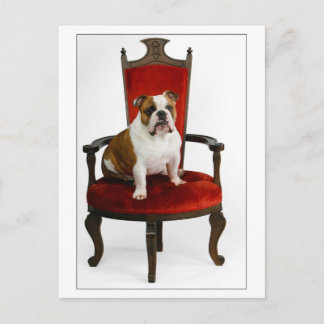 Cartão Postal Royal English Bulldog