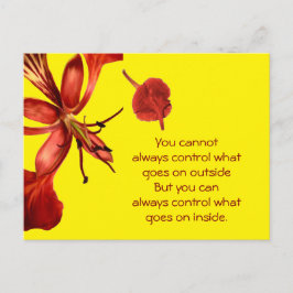 Cartão postal Royal Poinciana