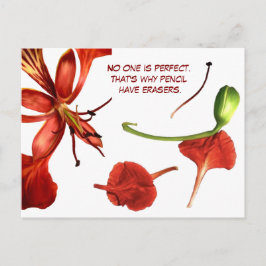 Cartão Postal Royal Poinciana